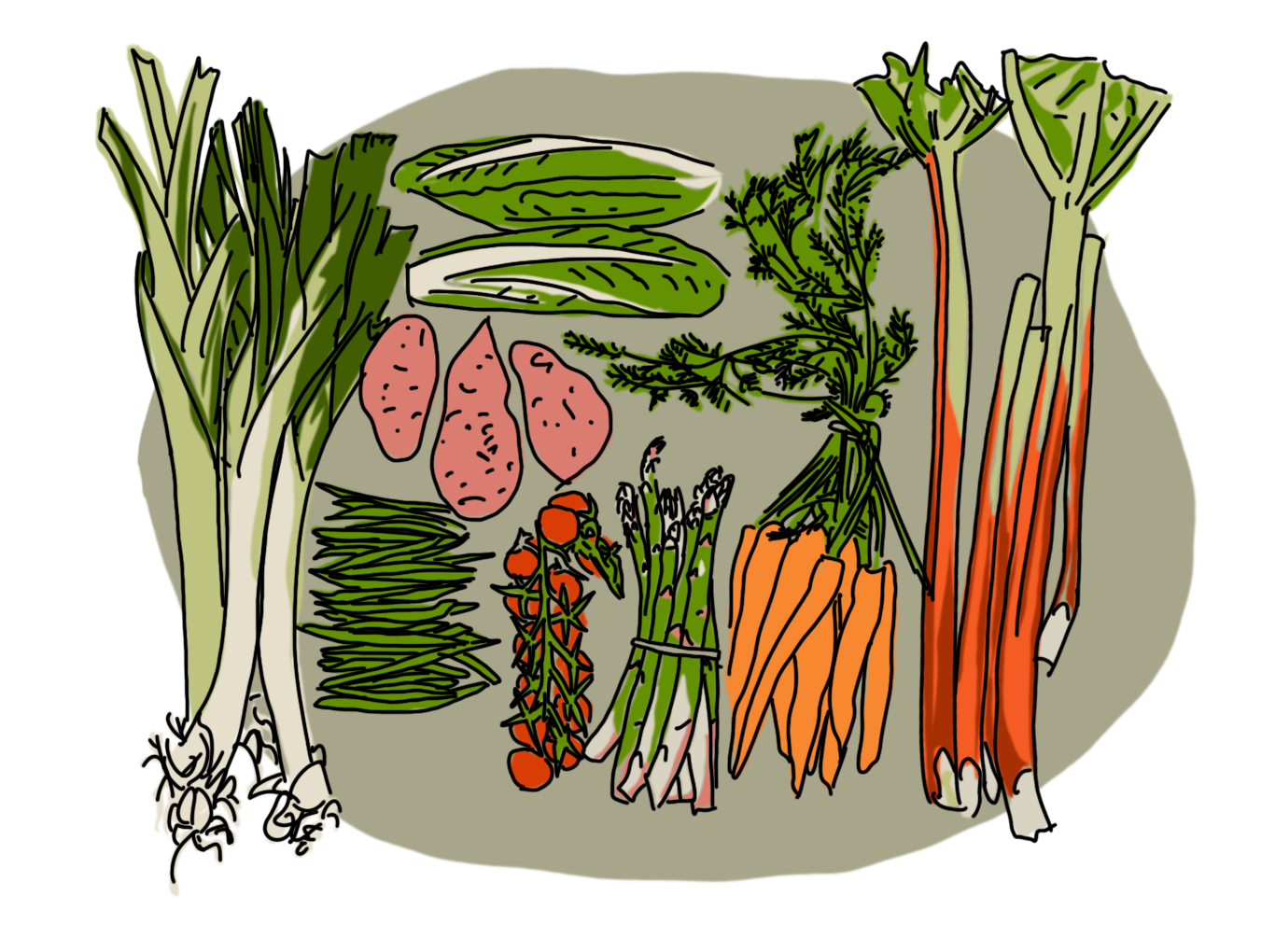 Illustration of various vegetables including leeks, green beans, potatoes, lettuce, cherry tomatoes, asparagus, carrots, and rhubarb on a grey background.