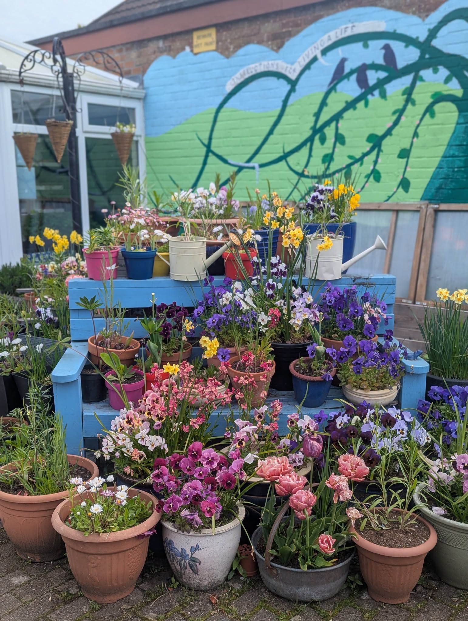 Bench piled high with colourful pots of flowers