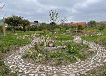 Douglas Community Park in the sun with path