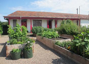 Pavillion at Fruit Bowls Community Garden with raised beds in front