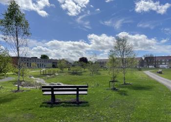 Douglas Community Park in the sun with bench
