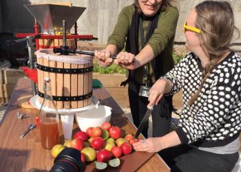 Volunteers pressing apples