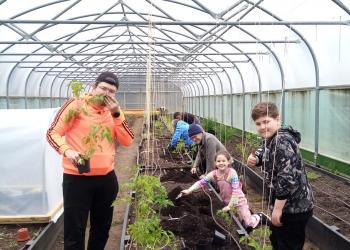 People gardening