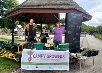 Three people manning a vegetable stall
