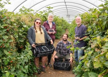 4 people standing smiling with boxes of berries