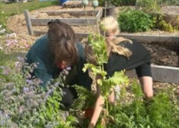 People gardening