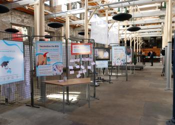 Museum exhibition