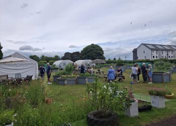 People gathered in a garden amongst the plants