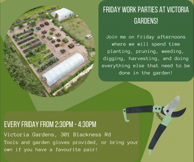 Victoria Friday Parties