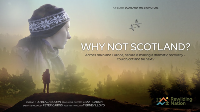 Why not Scotland