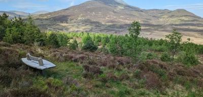 Dùn Coillich