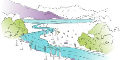 Graphic of river and planted trees