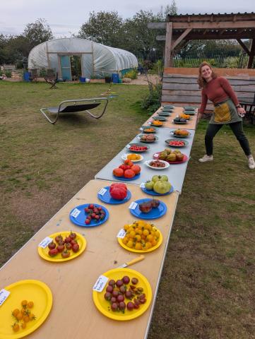 Tomato celebration at Dawson Park