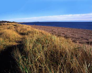 Dunes at Broughty Ferry