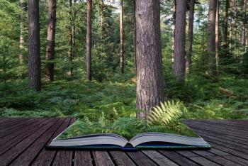 An open book with plants growing out of it