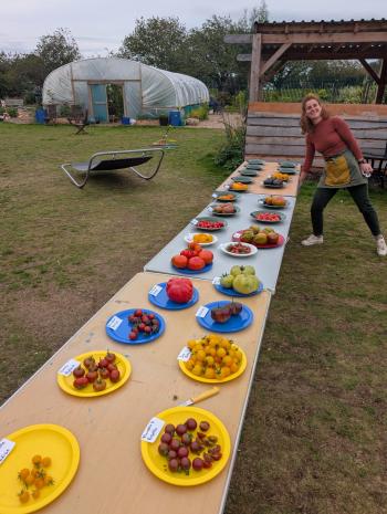 Tomato celebration at Dawson Park