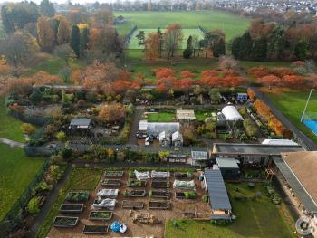 Birds-eye view of the community garden